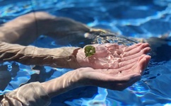 天涯海阁成人网